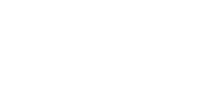 marcelo-terra